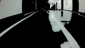 Segmented lane white screenshot 10.12.2019.png